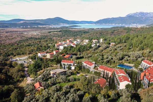 RoyalTownKotor - The Fruit of Heritage: Sowing the Seeds of a Professional Career in Royal Town Kotor’s Property