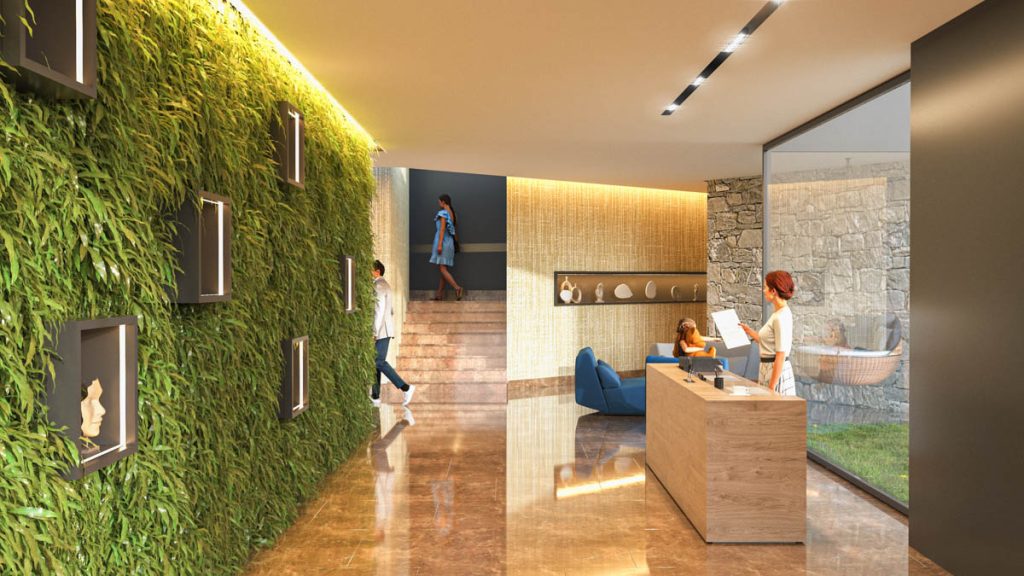 The Root of Luxury: How Montenegro's Agricultural Revival Cultivates Unseen Value at Royal Town Kotor